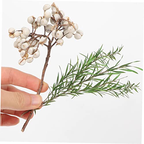 Kit de Flores Secas para Manualidades y Decoración miniatura 7