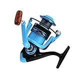 YUNNIAN Salzwasser Freshwaters Rotierende Fischhäuschen Ersatz 5 2: 1 Hochgeschwindigkeitsgetriebe Verhältnis Fischungen Rollenfische Teile Teile Leistungsstarke Rotierende Fischrollen Fischungen