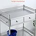 sdneNest Lab Utility Cart, 440 Lbs Weight Capacity Rolling Lab Cart, 2 Drawers Rolling Lab Cart Serving Cart with 360° Casters for Laboratory Hospital Dental Office Sa,Triple Layer-66 * 44 * 86cm