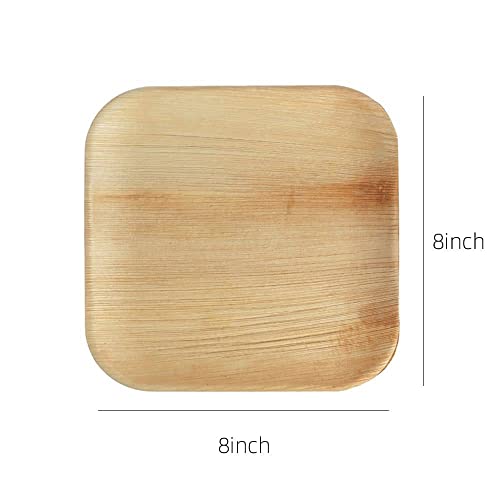 150 Pcs Palm Leaf Disposable Dinnerware Set - Eco Friendly Disposable Plates, And Cutlery Set - 25 Plates, 25 Cups, 25 Cutlery, 25 Paper Napkins, 100% Biodegradable Compostable Plates Utensil Set #TOP4