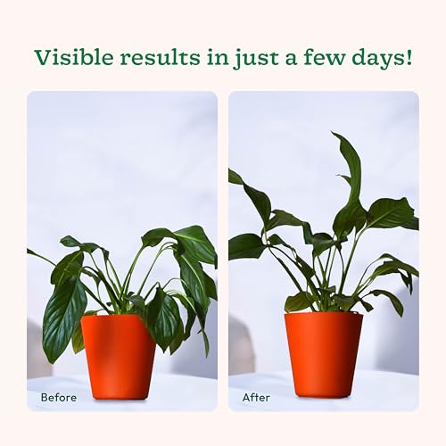 Image of UGAOO Plant Booster for Speed Growth Combo Pack (3 x 50 ml) | Plant Growth Booster Liquid & Organic Plant Booster Liquid Fertilizer | Liquid Fertilizer for Indoor Plants Home Garden & Flower Plants