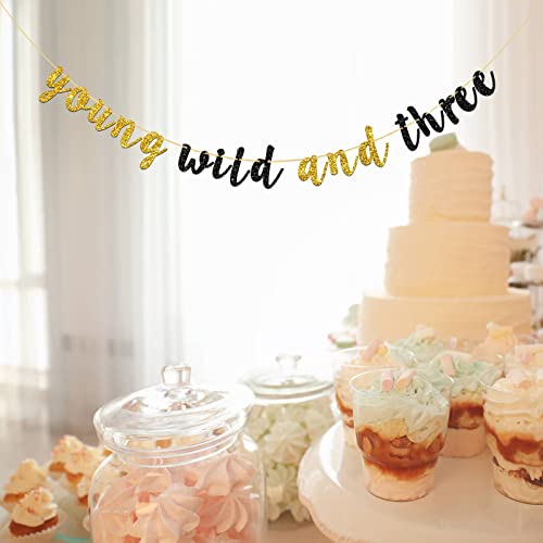 Talorine Young Wild And Three Banner - Gold Black Glitter Happy 3Rd Birthday Party Decoration, Three Years Old Party Supplies, Children 3Rd Birthday Bunting #TOP5