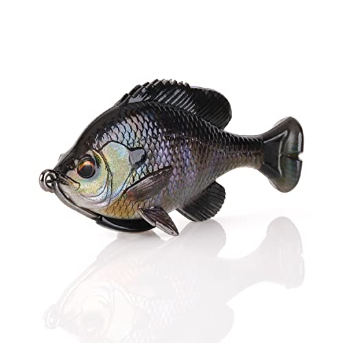 Pulse Tail Bluegill 4" Lb Black Gill #TOP18