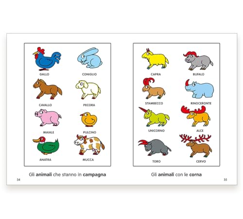 Pimpa Scopre Il Mondo. Ediz. Illustrata - 4