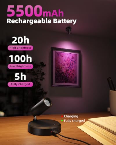 Image of EZVALO RGB Spotlights Indoor with Remote, Wireless 5500mAh Rechargeable Accent Lights, 83 Color Changing & DIY Modes, Mini Spotlight for Plants, Artwork, Display Cabinet, Shelves & Home Decor (2 Pack)