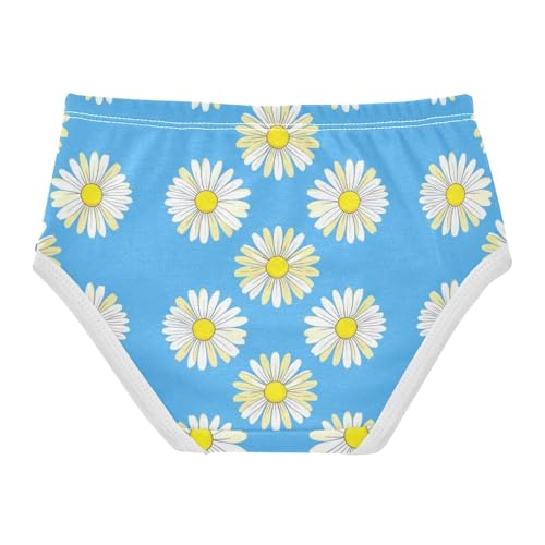 White Daisies Blue Panties Little Girl Toddler Underwear Floral Cotton Designer Undies Kids Briefs 2t2