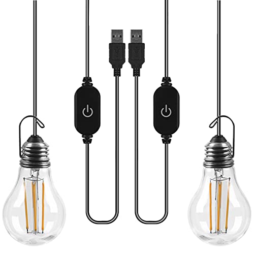 Usb Camping Bulb Touch Switch Non Dimmable 3W 400Lm Warm White Led Lantern For Fishing Boat Car Truck Camping, A19 Outdoor Portable Led Bulb, Emergency Light, Kids Bed Light, Night Light - 2 Pack #TOP22