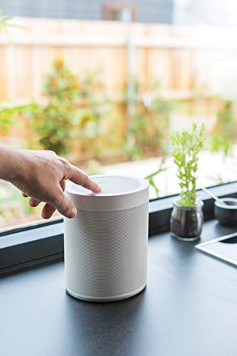 Yamaha Wx-021 Musiccast 20 Wireless Speaker For Streaming Music. White. Works With Alexa. #TOP6