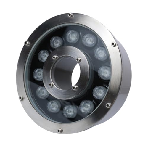 Anneau Lumineux LED pour Fontaine, éclairage subaquatique, étang, IP68, étanche, Basse Tension, en Acier Inoxydable, éclairage pour Piscine, Parc, Paysage