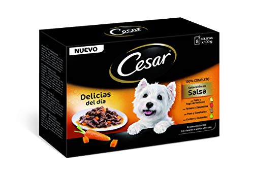 Comida Humeda Perros Cesar Marca César