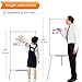 VIZ-PRO Whiteboard Easel, 36 x 24 Inches, Portable Dry Erase Board Height Adjustable With Flipchart Pad