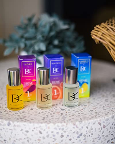 Doctor Aromas Premium Therapeutic Essential Oils Fragrance Scents Bottles Refills– Organic Aroma, Safe For Diffusers, Aromatherapy Lemon Lavender And Other Blends, 1 Oz (Endless Summer, 3-Pack) #TOP2