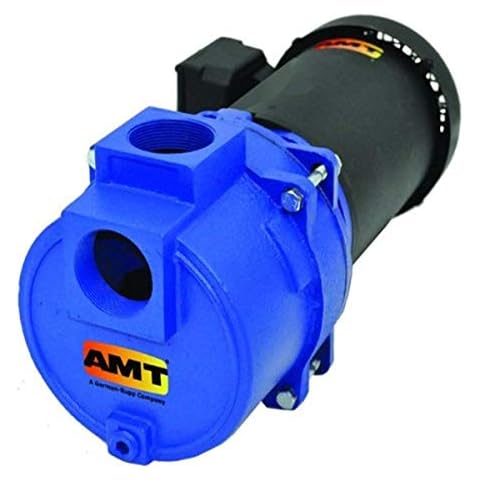 AMT Pump 316A-95 Sewage & Trash Pump, Cast Iron, 3 HP, 3 Phase, 230-460V, Curve A, 2" NPT Female Suction & Discharge Ports Cover