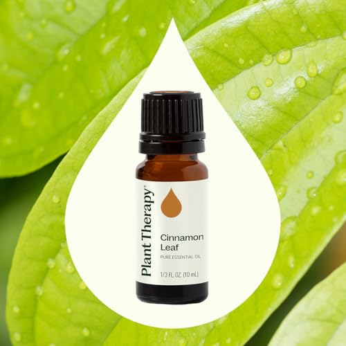 Aceite Esencial de Hoja de Canela 10 mL 100% Puro miniatura 3