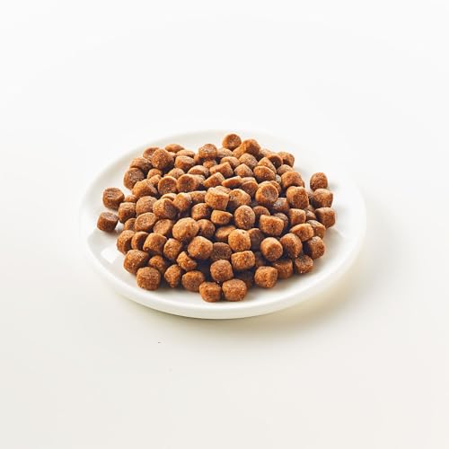 KATTOVIT - Gastro Trockenfutter für Katzen | Katzen-Trockenfutter zur Unterstützung des Magen-Darm-Systems | Diätfutter als Alleinfuttermittel für ausgewachsene Katzen | 4 kg