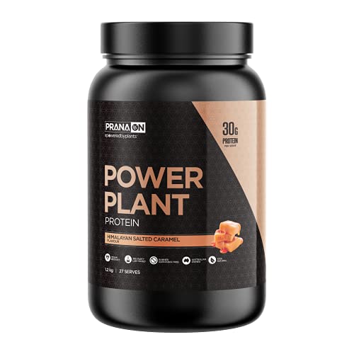 plant based protein powders