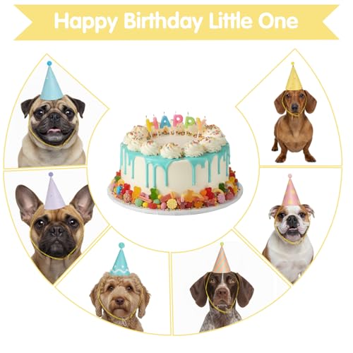 Tucnoeu 6pcs Partyhüte für Kuscheltiere, Kleine Party hüte Kuscheltiere, Perfekt für Geburtstagsfeiern