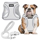 GAMUDA Small Pet Harness Collar and Leash Set, Step in No Chock No Pull Linen Fabric Soft Mesh Dog Vest Harnesses Reflective for Dogs Puppy Cats Kitten Rabbit (White, L)