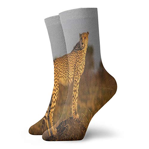 Gultmee Safari Funky Colorful Cushion Sport Socks,African Wild Animal Cheetah Standing On,Athletic Cushioned Running Performance Crew Socks For Men/Women,Ginger Apricot Dust -12 Inch #TOP12