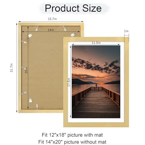 ccdcc 14x20 Poster Frame Set of 2, 14 x 20 Wood Picture Frames with Mat for 12x18, Wooden Photo Frame with Tempered Glass Cover for Wall Mounting Display, Gold by ccdcc - Used condition - Image 5