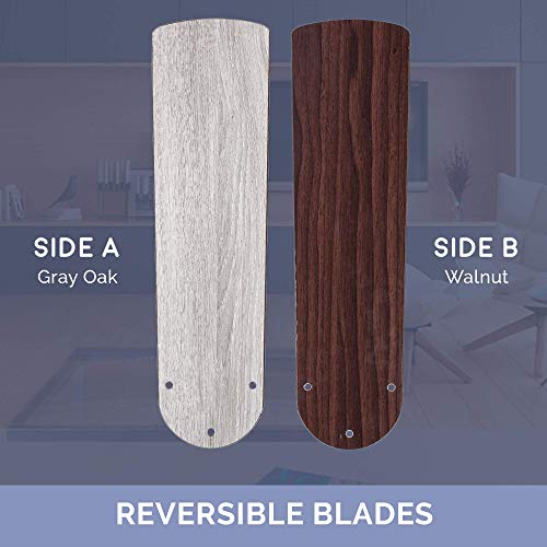 Prominence Home Alvina, 44 Inch Traditional Flush Mount Indoor Led Ceiling Fan With Light, Pull Chain, Dual Finish Blades, Reversible Motor - 51585-01 (Satin Nickel) #TOP2