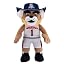 Arizona Wildcats