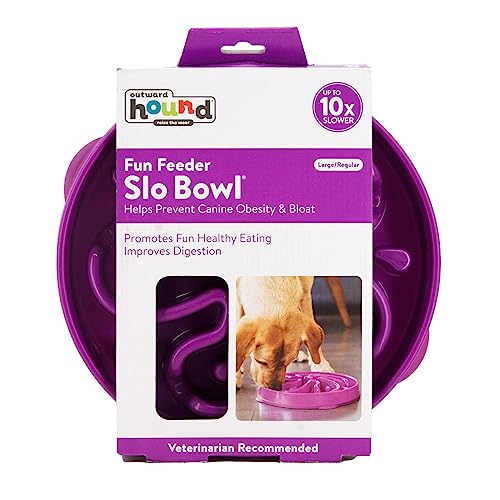 Outward Hound Fun Feeder Slo Bowl, Slow Feeder Dog Bowl, Large/Regular, Purple #TOP5