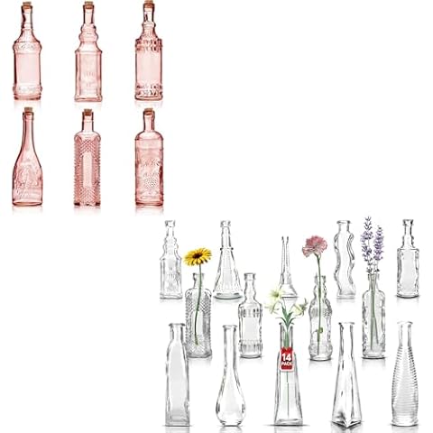 BULK PARADISE Glass Bottles with Corks 6 Pack with 14 Clear Glass Vases Cover