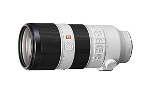 Sony FE 70-200mm f/2.8 GM OSS Lens for E — photo 3 of 6
