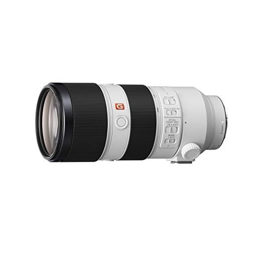 Sony FE 70-200mm f/2.8 GM Lens