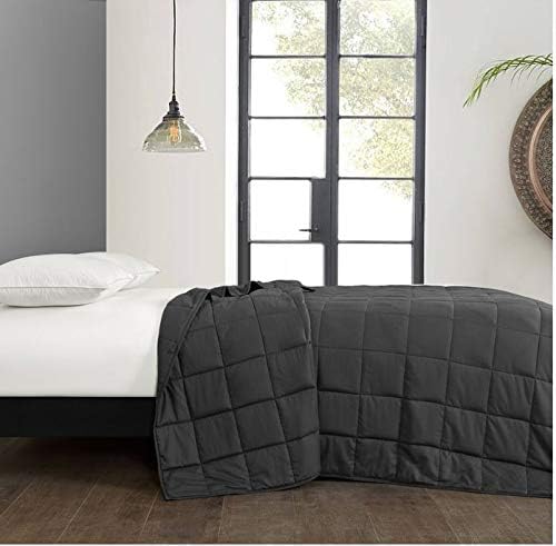 Well Being 60"x80" Weighted Blanket, 20 Lbs – Soft Quilted Grey Microfiber Blanket for Restful Sleep