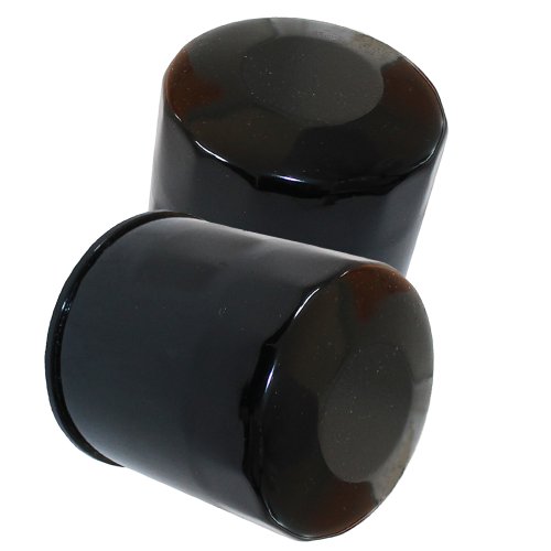 Caltric 2 Pack Oil Filter Compatible With Polaris Xpedition 425 Ranger 2X4 Magnum 425 2X4 4X4 6X6 1996-2004 #TOP26