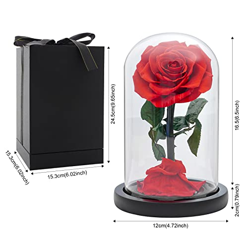 Varyfloral Forever Rose In Glass Dome Preserved Real Red Rose Flower Gifts For Her Mom Woman Wife Girlfriend Eternal Beauty And The Beast Rose For Mothers Day Valentines Day Anniversary Birthday #TOP4