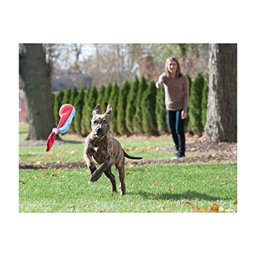 Petstages 656 Slingsock Throwing Fetch Squeaking Ball Dog Toy, Petite #TOP1