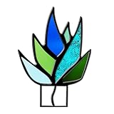 La decoración de agave de jardín también puede ser un regalo de inauguración de la casa para tu familia o amigos