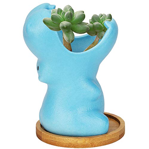 Herefun 9.5CM Maceta Pequeña de Cerámica Azul, Cerámica Cactus Macetas Hipopótamo, Animales Animados Macetas, Maceteros Decorativos Ideal para el Hogar, Oficina, Interiores, Exteriores