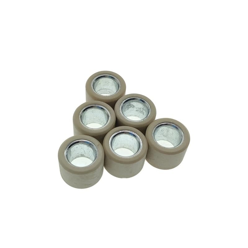 Poulie faciale de variateur équilibrée avec galets 10.5g SYM Joyride