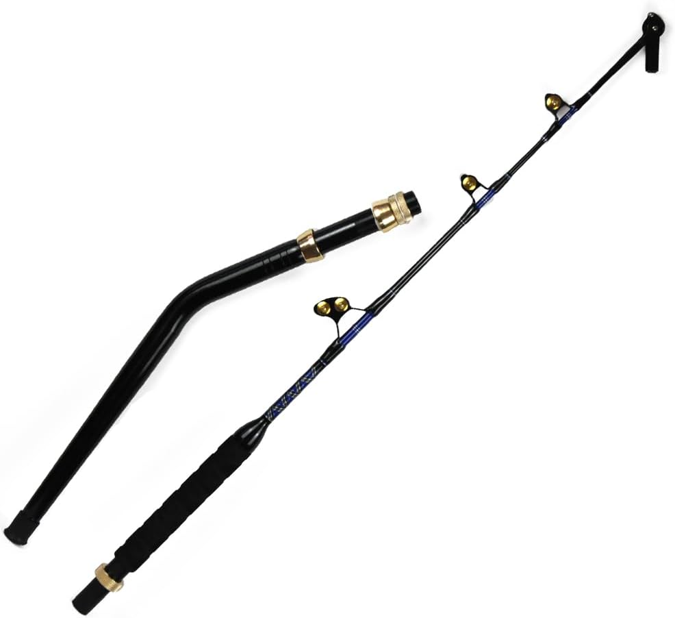 2-Pieces Deep Sea Fishing Rods, Topline Tackle Fishing Pole with 3+1 Roller Guides,Trolling Fishing Rod for Salt Water