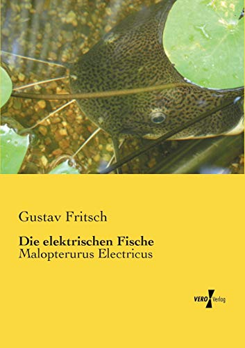 Die elektrischen Fische - Gustav Fritsch Kartoniert (TB)