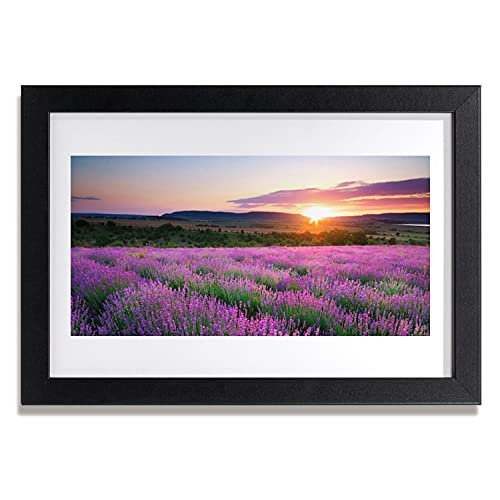 Affiche encadrée lavande 30x20 cm pour une déco de salon nature