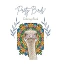 Pretty Birds: Coloring Book