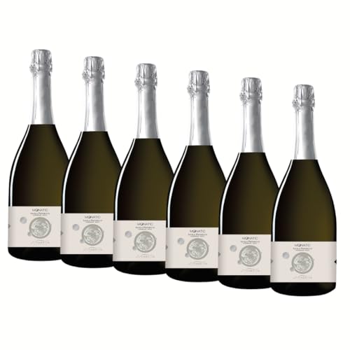 SUPER OFFERTA Prosecco Asolo DOCG | Prosecco | Veneto | Glera 100% | 6 Bottiglie 75cl | Idea Regalo