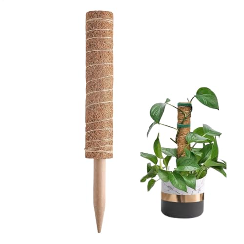 Support pour grimpantes en fibre de coco - Pour intérieur et extérieur - Outil de plantation pour philodendron, monstera, lierre