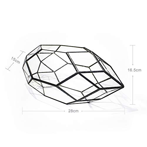 Ferrisland Handmade 10" Large Glass Terrarium Irregular Geometric Planter Indoor Air Plants Holder Window Balcony Display Succulent Flower Pot, Black #TOP6
