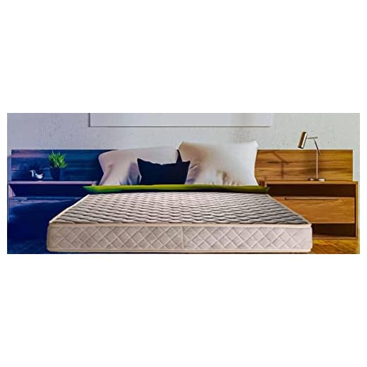 RELAXWELL MATRESSES Jasmine -Reversible Foam Mattress with Free Pillow for Your Comfort Night | Matresses for Comfortable Sleep (75x36x5 Inches, Single)