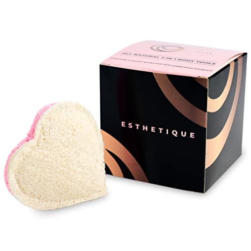 4 Pack Luffalu Pro Sponge Loofah And Cellulose Fusion - Shower Cleaning And Exfoliating 2 Sided Coarse And Soft Spongy All-Natural Disposable Body Scrub By Fushay (Pink Hearts) #TOP5