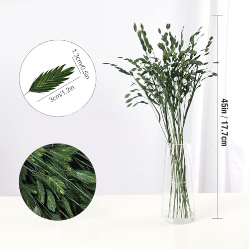 Ramo de Hierba Ornamental Preservada de 18 Pulgadas miniatura 4