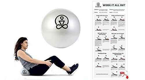 Premium Core Exercise Ball - Fit Ball - Improves Core Strength & Stability - Enhances Balance & Flexibility - Yoga,Pilates,Training & Physical Therapy-Includes ONLINE Videos, Exercise & Wellness Guide