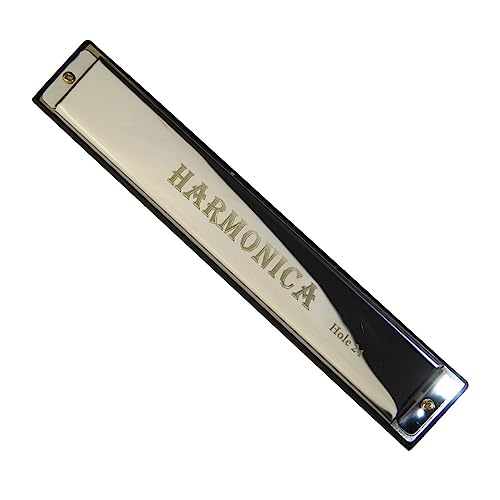 PacuM Harmonica par clé d’instrument 24 trous Harmonica accordé par octave Clé d’harmonica de C avec étui Harmonica (Color : Silver) - Les Beatles, Paul McCartney, John Lennon, RIngo Starr, George Harrison PacuM Harmonica par clé d'instrument 24 trous Harmonica accordé par octave Clé d'harmonica de C avec étui Harmonica (Color : Silver)