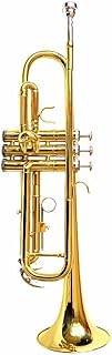 LANDTOM Entry-Level B-Tone Lacquer Gold Brass Trumpet For Adults/Beginner (B Flat)